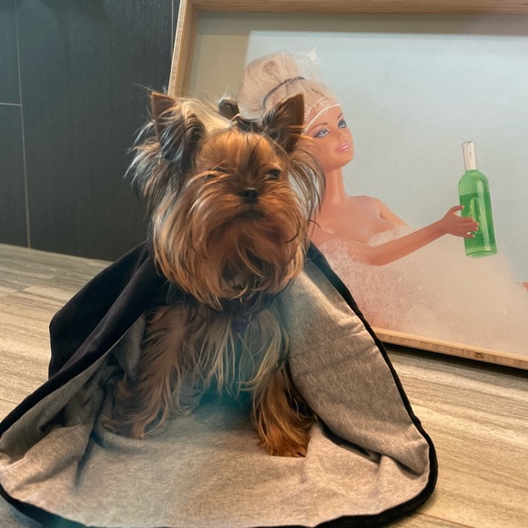 NWT Juicy Couture dog sleeping bag